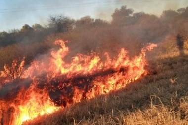 Mientras todos hablan del Amazonas, varias provincias argentinas sufrieron incendios por la sequía