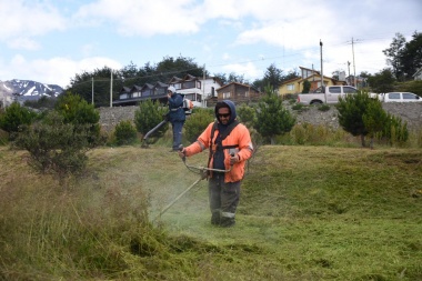 Permanente cuidado y mantenimiento de parques y jardines de ushuaia