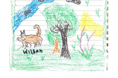 Milagro en Colombia: el perro Wilson sigue perdido en la selva y los chicos rescatados le hicieron un emotivo dibujo