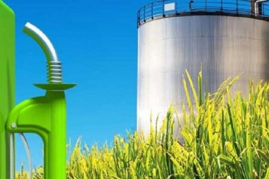 Productores de biodiesel denuncian "extorsión" oficial por subsidios