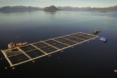 El acuerdo de Macri con Noruega pone en jaque del equilibrio ecológico del Canal Beagle