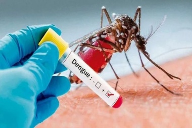 Tierra del Fuego tuvo en las últimas semanas 22 casos de dengue, todos importados.