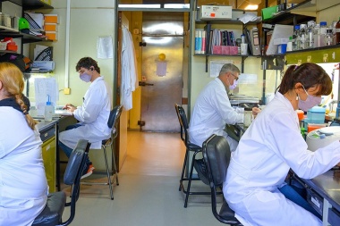 Científicos argentinos avanzan en una vacuna de segunda generación contra el coronavirus