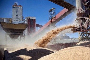 La nueva Vicentin: el plan de Alberto Fernández para la cerealera