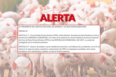 SENASA declaró alerta sanitario por Peste Porcina Africana