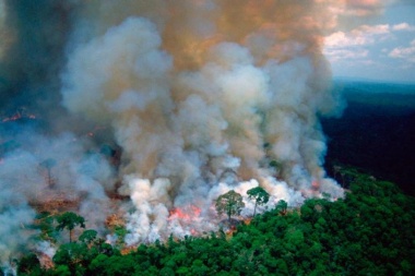 Se incendia el Amazonas mientras Bolsonaro se burla
