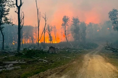 Productores de Tierra del Fuego en alerta por los incendios de más de 9.000 hectáreas de bosques nativos