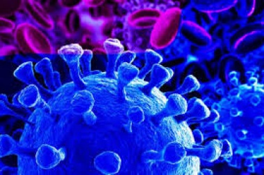 La mutación del coronavirus en el Reino Unido: qué dijo la OMS