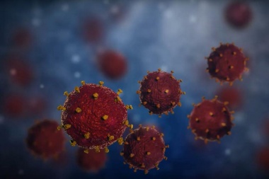 Coronavirus en la provincia:  hay 5 casos sospechosos bajo estudio y otros 4 fueron descartados