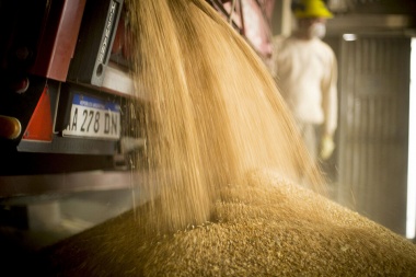El Gobierno aplicó una millonaria multa a Molinos Cañuelas por especular con el precio de la harina de trigo