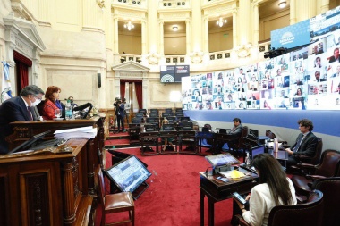 El Senado debate en forma virtual