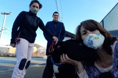 23 perros de los caniles municipales encontraron un hogar donde vivir