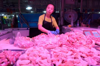 China encontró rastros de coronavirus en alitas de pollo importadas de Brasil