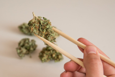 Prueban que el cannabis era un alimento básico en la antigua China