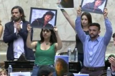 Diputados rindió un homenaje a Lucía Pérez