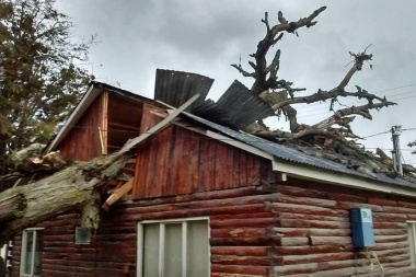 Un árbol destruyó el techo de una oficina pública de Tolhuin