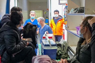 Dos operativos de ablación de órganos en el Hospital Ushuaia