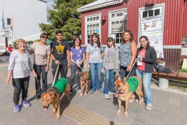 Jornadas de concientización en  tenencia responsable de mascotas.