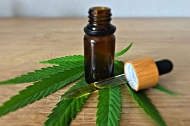 La ONU elimina el cannabis medicinal de la lista de drogas más peligrosas