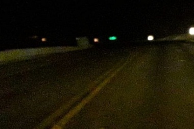 Llamativa aparición de ratas en horas nocturnas sobre la Ruta Nacional N° 3