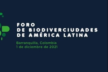 Walter Vuoto invitado a disertar en el Foro de Biodiversidades de América Latina