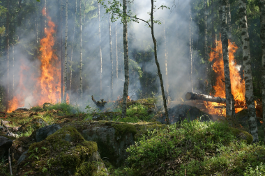 Los incendios forestales devastadores aumentarán para fin de siglo