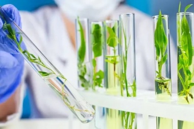 Biotecnología: proyectan inversiones por u$s1500 millones y la generación de miles de empleos